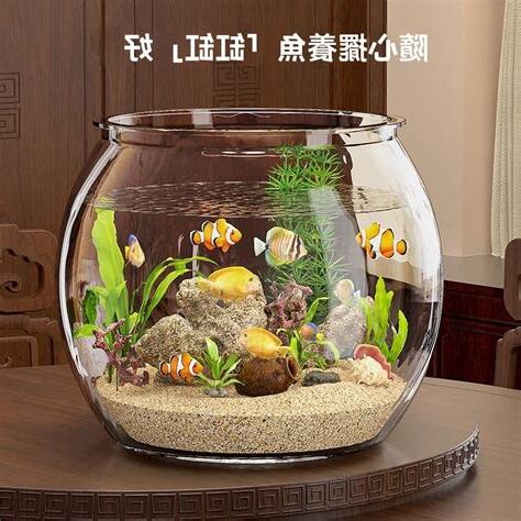 圓形魚缸 不好